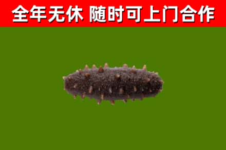 鞍山烟酒回收干海参.jpg
